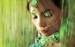 emerald silk