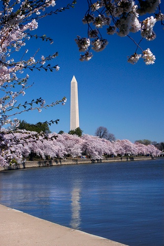 Washington DC Spring