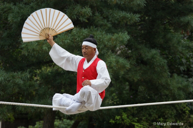 Korean Acrobat