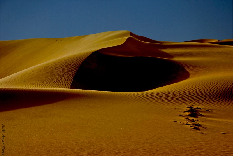 Silent of Desert