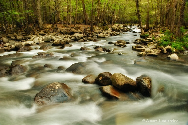 Greenbrier Stream, Great Smoky Mountains
