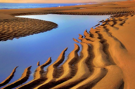 Sunrise Plum Island Beach