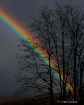 Rainbow in the Da...