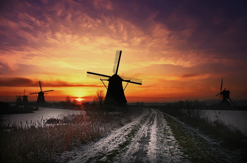 Kinderdijk Windmills in Winter
