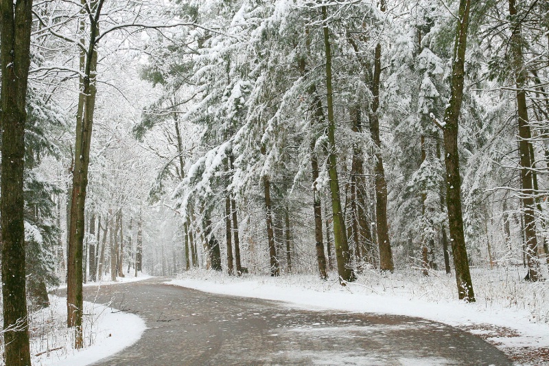 Path to Winter Wonderland