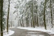Path to Winter Wo...