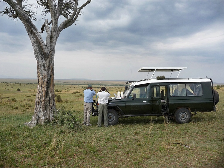 Zack and Jay Scouting for game - Masai Mara - ID: 8135111 © Larry J. Citra