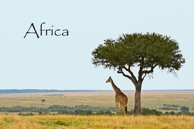 "Africa" - ID: 8137517 © Larry J. Citra