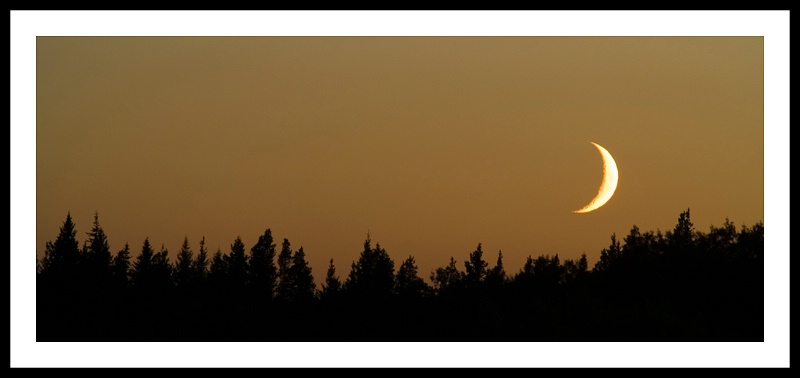 Cypress Hills Moon - ID: 8143867 © Jim D. Knelson