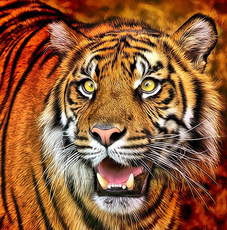 Tiger Art