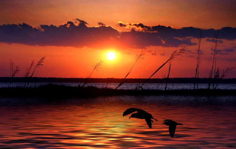 Sunset  Fort  Fisher N.C.