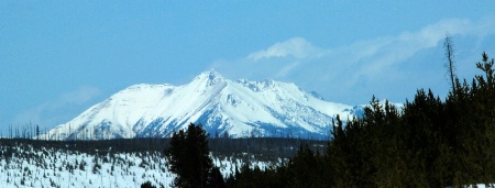 Snowy Mt.