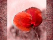 Another style of ...