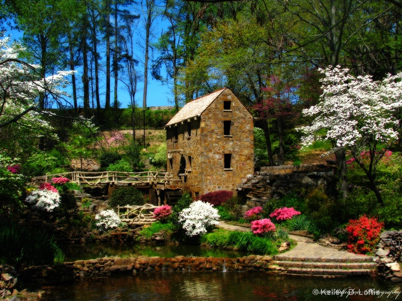 Spring at the Old Mill 