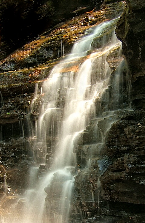 Moss Falls