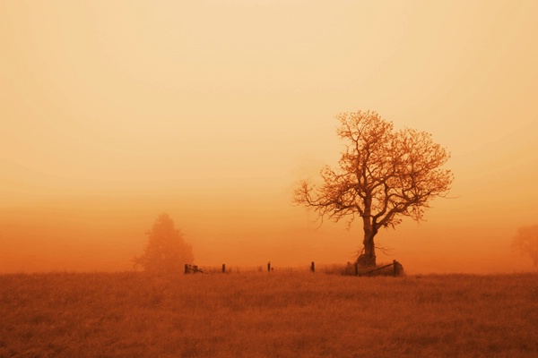 Foggy Morning - Sepia - ID: 8162102 © John Singleton