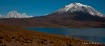 altiplano chileno