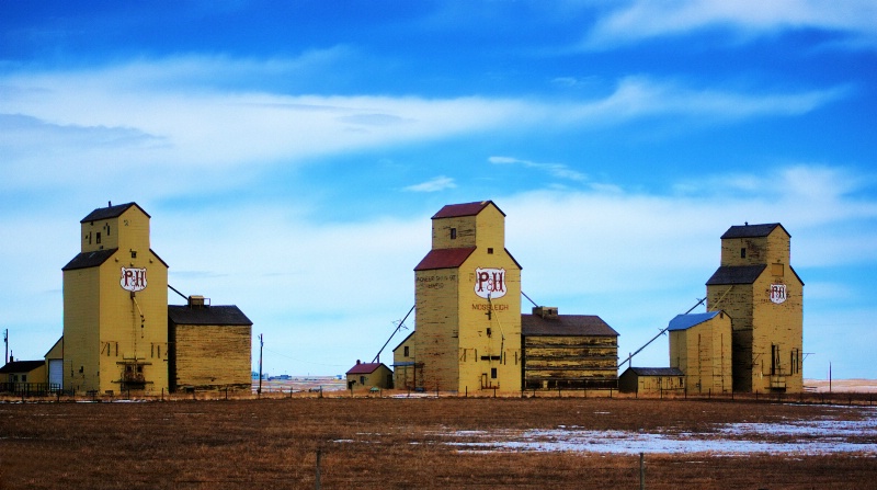 Grain Elevators - Mossleigh, Alberta