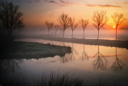 Misty Morning