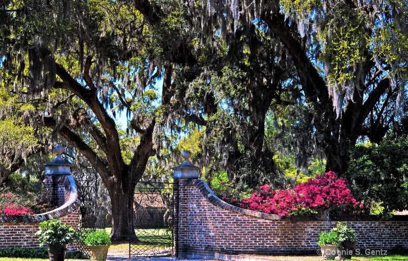 Boone Plantation, Mount Pleasant, SC