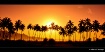 A Sunset In Goa