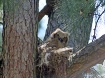 Whooo are you!