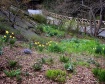 Spring in Central...
