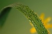 A season of hope