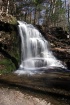 "Gunn Brook F...