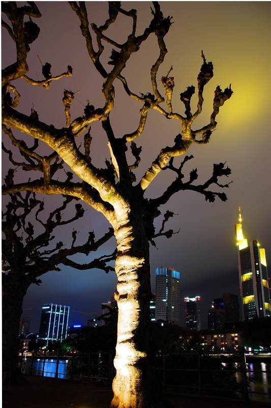 The City Tree...