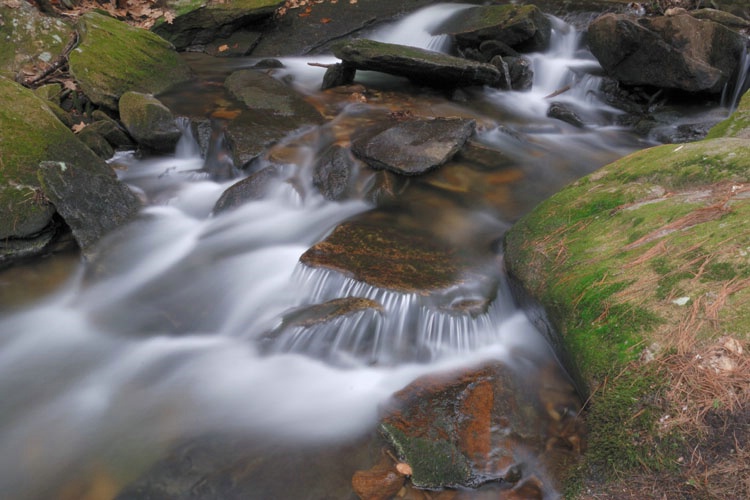 "Buffam Brook"