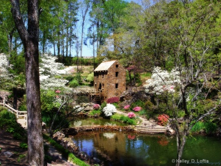 Spring Reflections at the old mill 