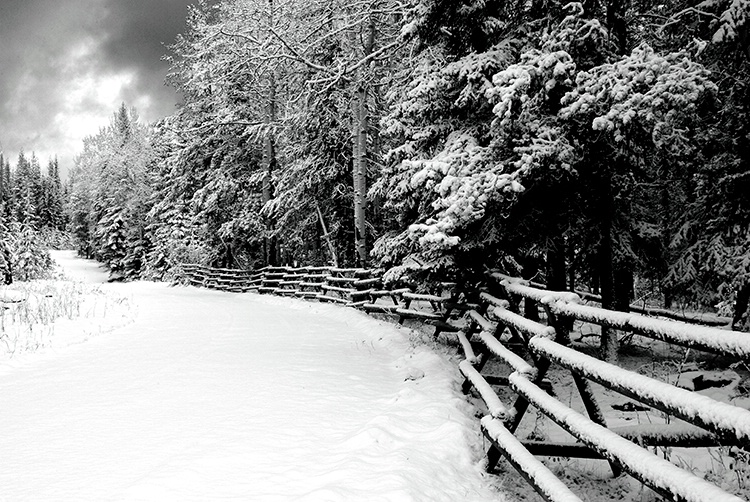 Fresh Snow on Driveway - ID: 8208855 © Larry J. Citra