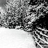 2Fresh Snow on Driveway - ID: 8208855 © Larry J. Citra