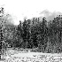 2Montana Meadow in Winter - ID: 8208859 © Larry J. Citra
