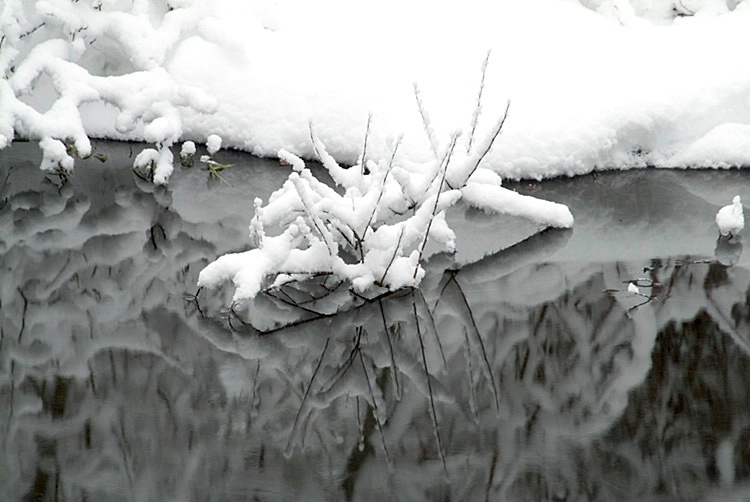 Snow Refection - Eakin Creek - ID: 8208863 © Larry J. Citra