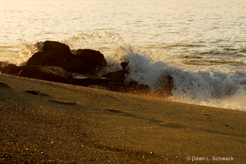 Rays of Light - ID: 8213021 © Dawn Schwack