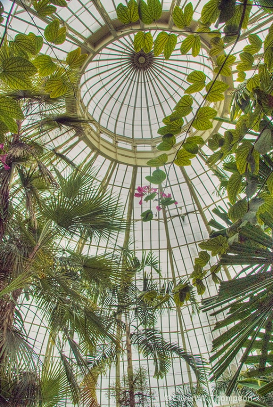 Botannical Gardens Dome Buffalo N.Y.