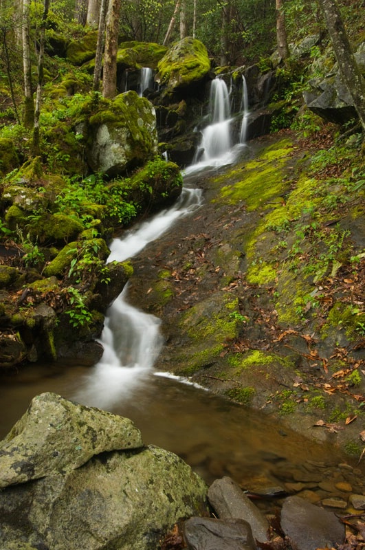 Tremont Fall - ID: 8219206 © Karen L. Messick