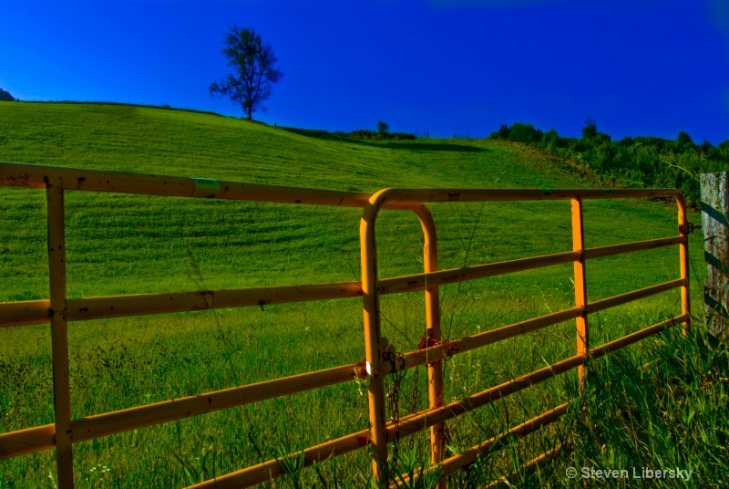 "grass is always greener on the other side"