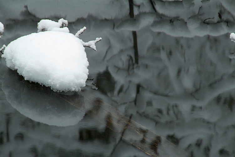 Snow on rock - Eakin Creek - ID: 8220187 © Larry J. Citra