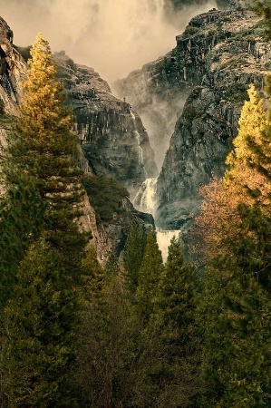 Yosemite NP