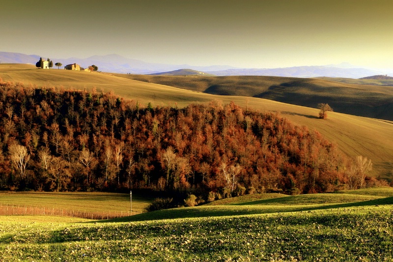 Toscana nostalgia