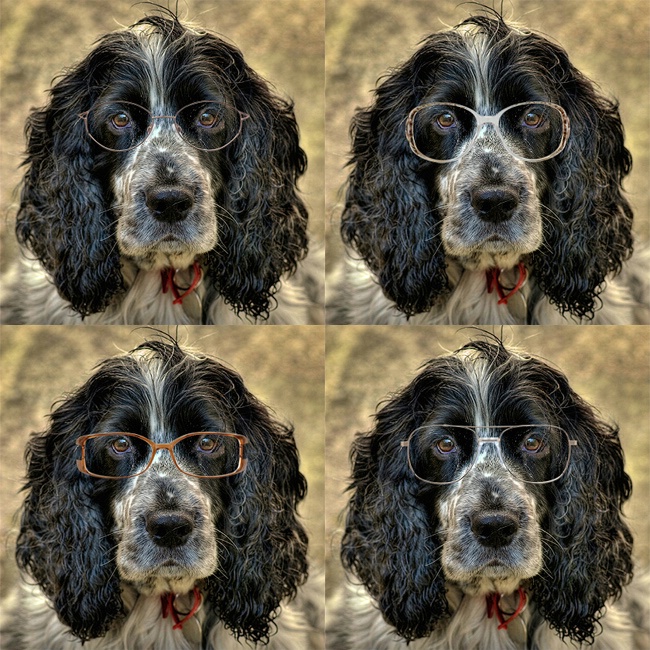 I went to Specsavers!