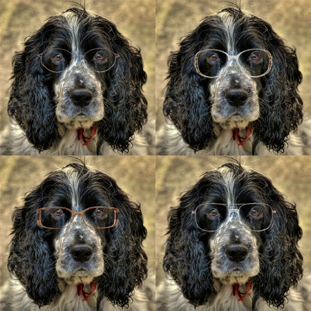 I went to Specsavers!