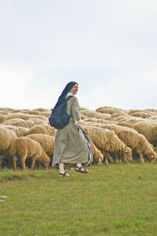 Nun with sheep, Hills above Piano Grande - ID: 8231328 © Larry J. Citra