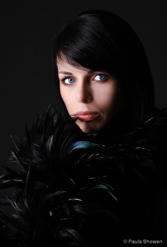 Feathers and Blues