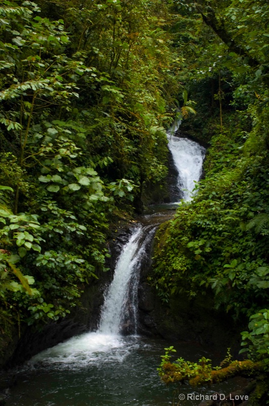Waterfall - Monteverde Cloud Forest Costa Rica