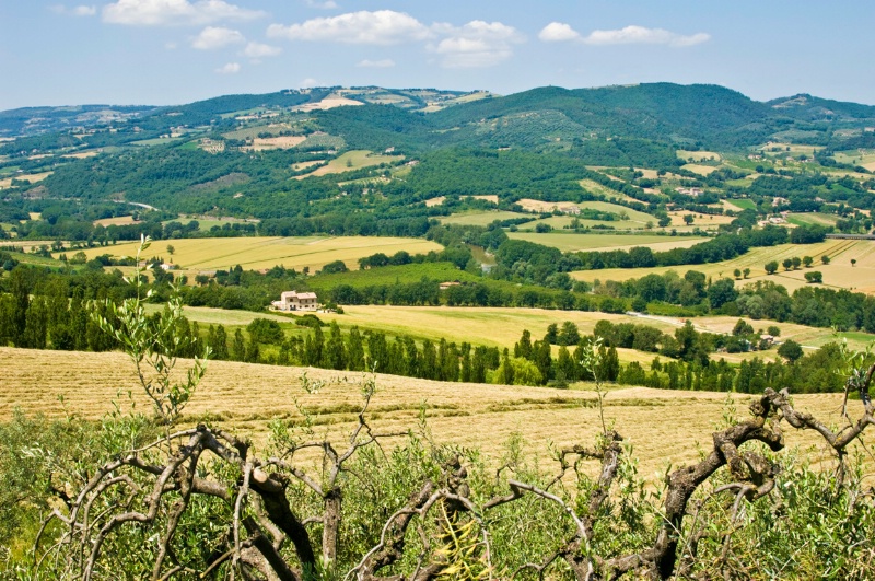 Norcia farmland - ID: 8233142 © Larry J. Citra