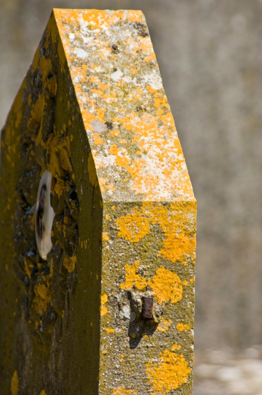 Lichen Covered Headstone, Todi, Umbria - ID: 8233194 © Larry J. Citra